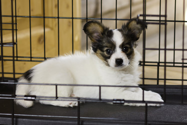 Similar image 701711