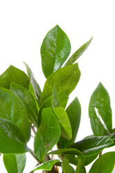 Similar image 701734