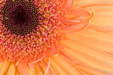 Similar image 701762