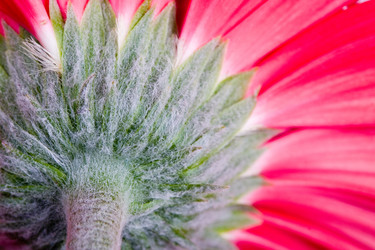 Similar image 701765