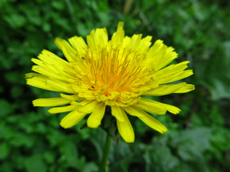 Similar image 701766