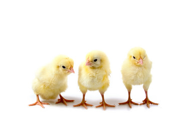 Similar image 701790