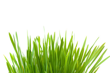 Similar image 701792