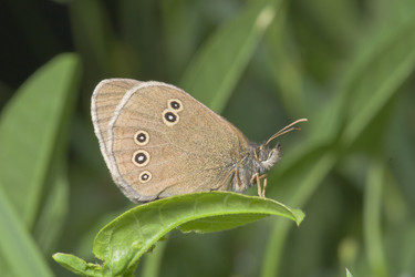 Similar image 701808