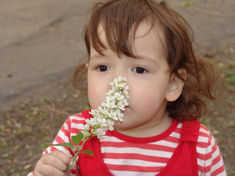 Similar image 701848