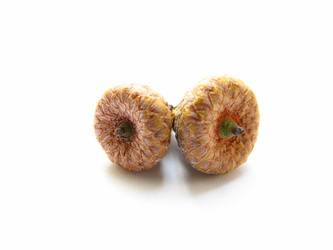 Similar image 701849