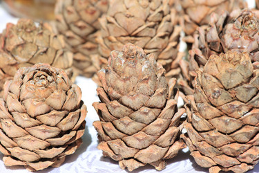 Similar image 701863