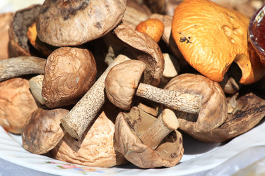 Similar image 701865