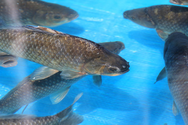 Similar image 701897