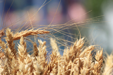 Similar image 701902