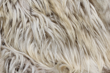 Similar image 701904