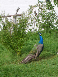 Similar image 701953