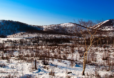 Similar image 701991