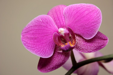 Similar image 701994