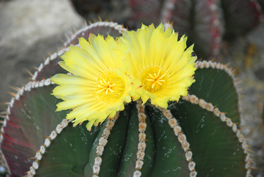 Similar image 702008