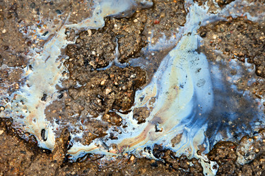 Similar image 702011