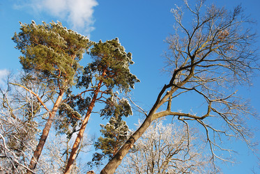 Similar image 702019