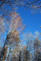 Similar image 702020