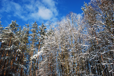 Similar image 702023