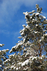 Similar image 702027