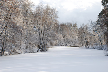 Similar image 702029