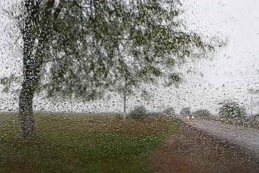 Similar image 702036