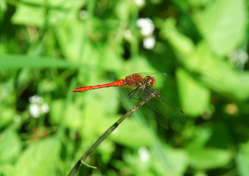 Similar image 702050