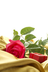 Similar image 702052