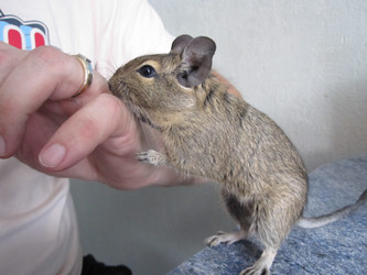 Similar image 702067