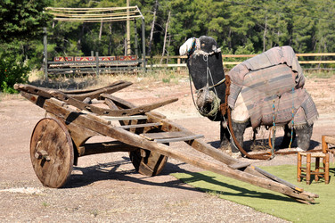 Similar image 702125