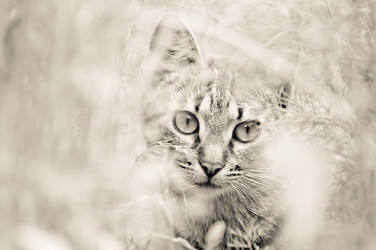 Similar image 702131