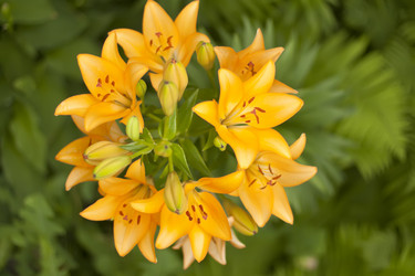 Similar image 702151