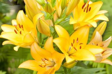 Similar image 702152