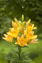 Similar image 702153