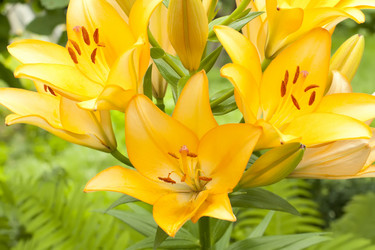 Similar image 702154