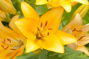 Similar image 702155