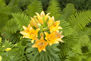 Similar image 702178