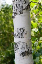 Similar image 702212