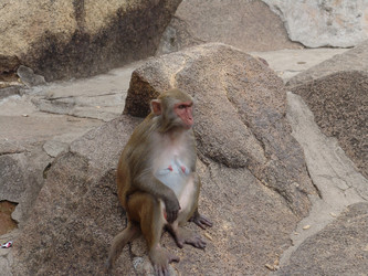 Similar image 702213