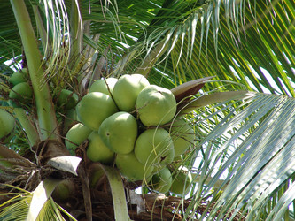 Similar image 702214