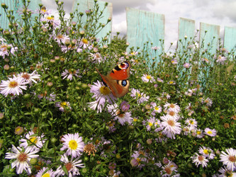 Similar image 702218