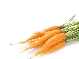 Similar image 702219