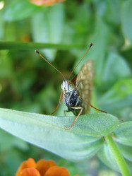 Similar image 702220