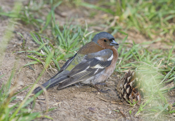 Similar image 702228