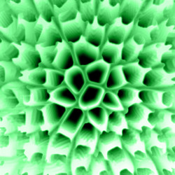 Similar image 702285