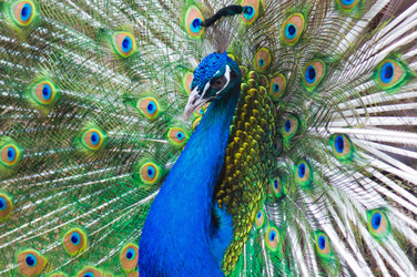 Similar image 702429