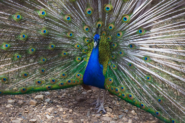 Similar image 702430