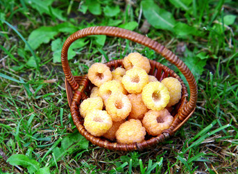 Similar image 702477