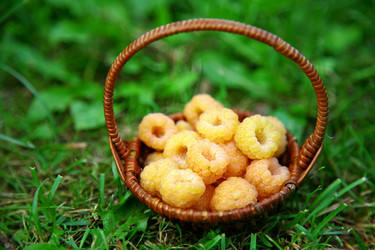 Similar image 702480