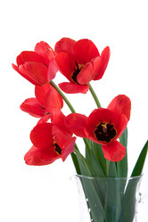 Similar image 702490